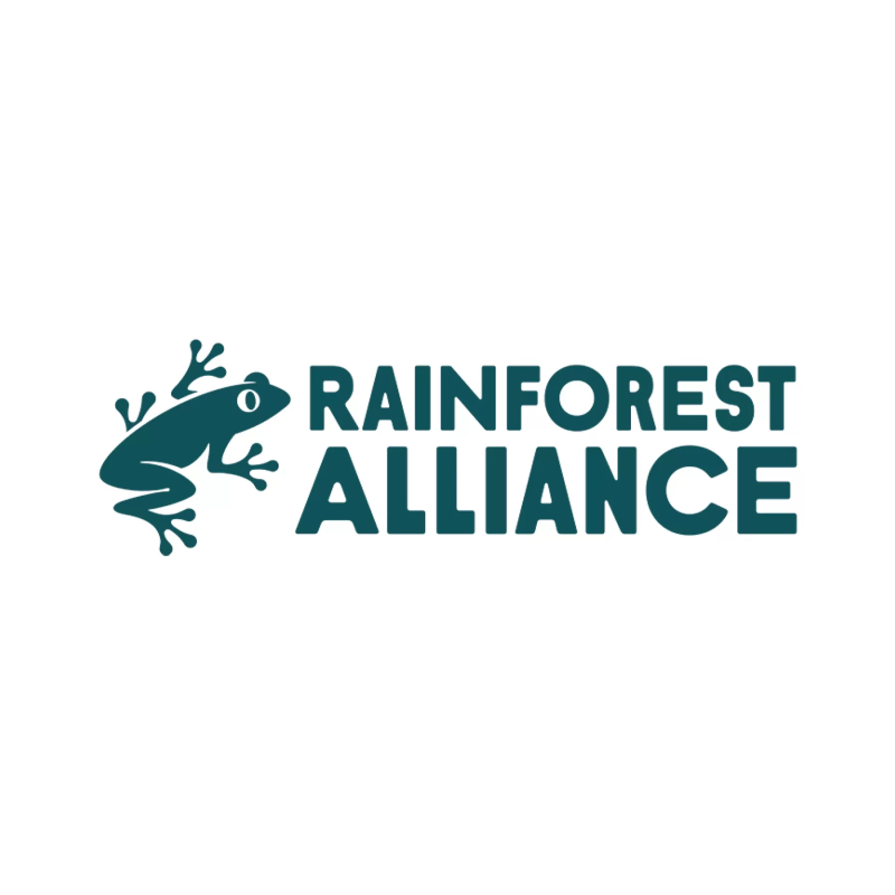 Illustration - Rainforest