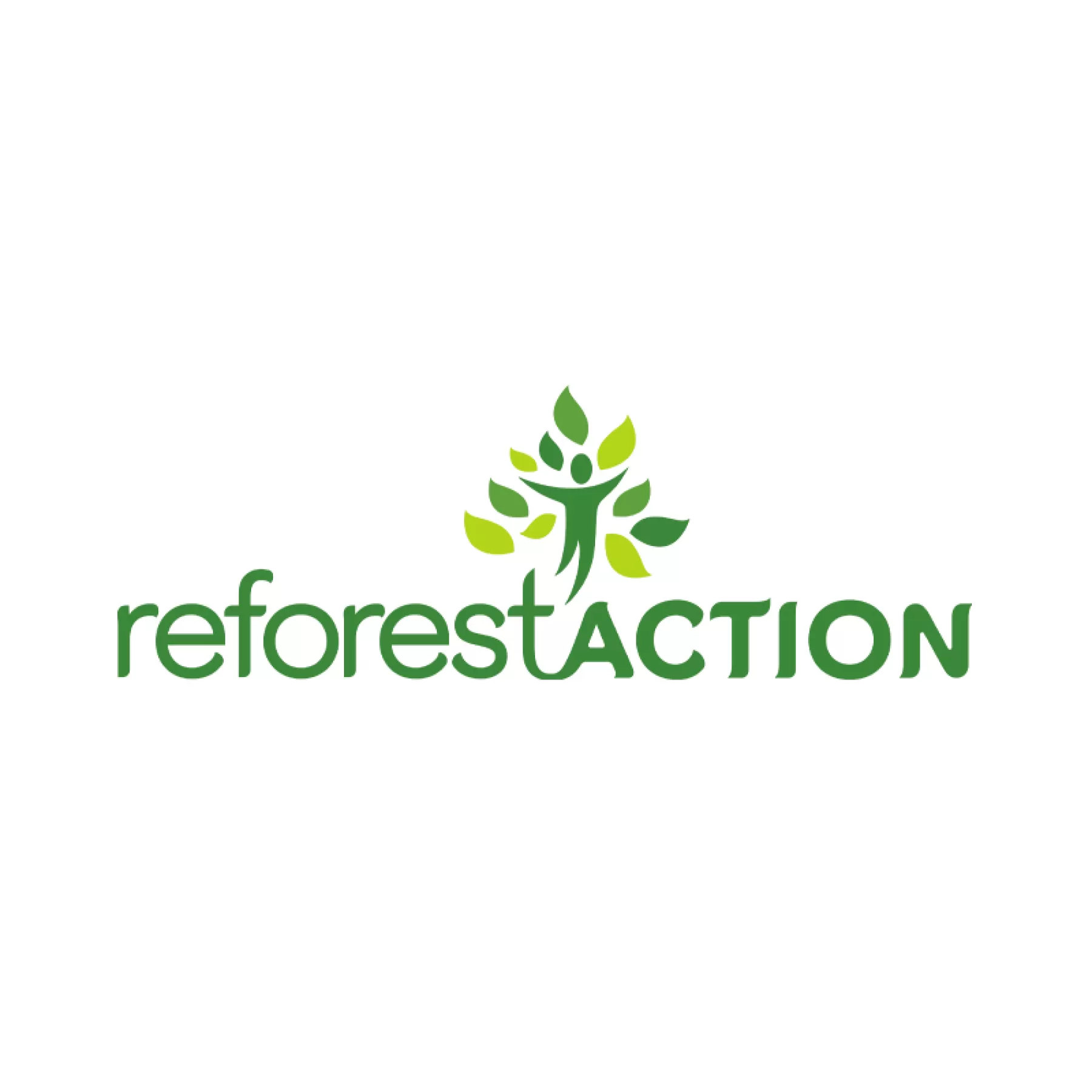 Illustration - Reforest